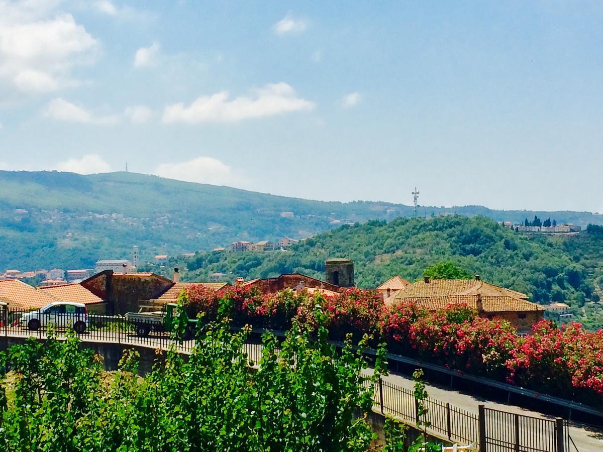 Pozzo Medievale Prignano Cilento Bagian luar foto