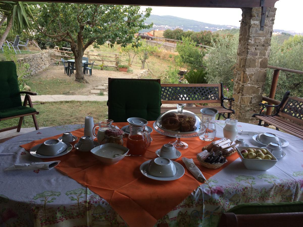 Pozzo Medievale Prignano Cilento Bagian luar foto